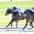 【京都６Ｒ・２歳新馬】チュウワアーチが激しい競り合いを制す　松山弘平騎手「３着馬を９馬身離していますし…」