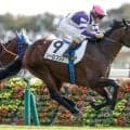 【東京5R新馬戦結果】レイデオロ産駒ソーロブストが断然人気に応えてV