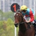 【ジ・エベレスト】世界最強カーインライジングまさかの敗戦…２年９か月ぶりの黒星で連勝記録「２１」でストップ