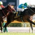 【アイビーS結果】11番人気キャピタルストーンが押し切り2連勝