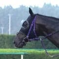 【富士Ｓ】痛恨の出遅れ…ルメール騎手が騎乗した１番人気のトロヴァトーレはまさかの１２着　「スタートから全然...」