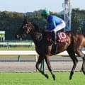 【富士Ｓ】「すべて出し切れたとは言えませんが…」岩田望来騎手のアンパドゥは２着　前走の関屋記念で圧勝も連勝ストップ