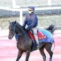 【秋華賞・土曜気配】ローズＳ２着エンネは坂路で力強い脚取り　吉岡調教師「気持ちが乗っているが...」