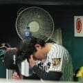 【阪神】主将の坂本誠志郎、失意の工藤泰成に寄り添う「それぞれ見つめ直して頑張りたい」
