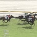 「筋肉の塊」ガタイが気になる“名牝の初仔”、名手を背に快勝デビュー…ファンの期待膨らむ「お母さんと似ていい脚」