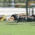 「ちっちゃかわいい」「推せる」386kgの小柄牝馬が“豪快差し”デビューV！ ファン驚き「小さいのに凄い脚」