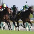 【アイビーS】11番人気キャピタルストーンが波乱の連勝V！名馬輩出の出世レースで大金星