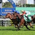 【豪ジ・エベレスト】香港のスターホース・カーインライジングまさかの敗戦！21連勝でストップ…惜敗2着にヘイズ師「結果が悔しい」