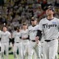 阪神・藤川監督　あと１球から悪夢　４連敗で終戦「この経験を球団の財産に」３連覇へリスタート