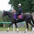 【１８日の注目・東京ハイジャンプ】障害王者エコロデュエルに前年覇者ジューンベロシティ、復帰戦のマイネルグロンなどが集結！
