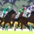 【東京５Ｒ・２歳新馬】ルメールが評価「伸びしろあります」Ｇ１・２着２回ファインルージュの初子ソーロブストＶ