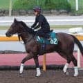 【１８日の注目・京都２Ｒ】日本ダービー馬の半弟がダートで大化けの可能性　デビュー２戦目で初砂投入
