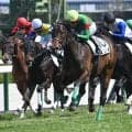【秋華賞予想】牝馬三冠の最終戦 機動力とスタミナ問われる京都内回り2000m