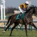 【秋華賞予想】勝ち馬の傾向はかなり顕著に!? 過去データから探るGI秋華賞