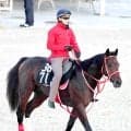 【京都５Ｒ・２歳新馬】ダート最強馬フォーエバーヤングの半弟は３着　ヤングリッチが追い上げ及ばず