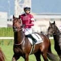 【京都５Ｒ・２歳新馬】ダート最強馬フォーエバーヤングの半弟は３着　ヤングリッチが追い上げ及ばず
