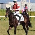 日曜新潟競馬場の注目激走馬…新潟１１Ｒ新潟牝馬ステークス（Ｌ）