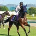 【秋華賞】「前が強かった」武豊騎手は蛯名正調教師との同期タッグで戴冠ならず…マスターソアラは８着