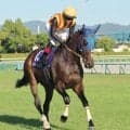 【秋華賞】ルメール騎手３連覇ならずも「Ｇ１レベルの馬」　オークス２着馬ドリームコアは３着　やはり右回りの壁！？