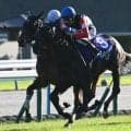 【秋華賞結果】新女王はモンローウォーク！ 無傷5連勝で史上4頭目の無敗戴冠！