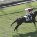 「着差以上の強さ」藤田オーナー1億円馬、“夢へつながる一歩”デビューV！ ファン期待膨らむ「世代上位だ」