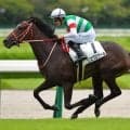 【アルテミスS登録馬】良血リスグロワールなど14頭