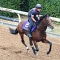【菊花賞・浅子の特注馬】武豊騎手の進言が何よりの買い材料　意味ある前哨戦が本番につながる