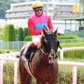 【カノープスＳ・松ケ下の特注馬】先週の京都ダート１８００メートルは前残り顕著　昇級３戦目のペイシャモノノフが面白そう