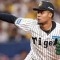 阪神　モレッタの帰国を発表「安心して野球に集中することができました」周囲のサポートに感謝