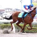 【浦和競馬】母は南関東牝馬クラシック２冠のケラススヴィア　アンジュディーヴァが６馬身差完勝