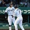 阪神　佐藤輝明「タイガースでの日々は本当に楽しかった」　球団からは１８日にポスティング容認を伝えられる「自分の思いを尊重していただいて感謝」