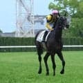 【AI予想・菊花賞】人工知能は三冠達成ならずを示唆!? 長距離適性が光る本命候補とは