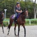「菊花賞では...」５勝の武豊騎手がゴーイントゥスカイ上原佑調教師へ心強い一言　前走で想定外にもたれるも...