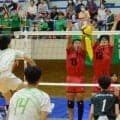 春高バレー・和歌山県大会決勝は11月3日　男子は開智VS和歌山工　女子は開智VS日高