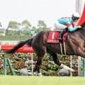 【競走伝】単勝１・３倍の支持に応える次元の違う走り　今秋に初子がデビューＶの天才少女が最も輝きを放った瞬間　１９年アルテミスＳ