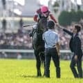 【菊花賞予想オッズ】ロブチェンが予想1番人気
