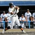 甲子園初出場へ前進、帝京三の4番主将が一振り　秋季関東高校野球