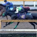【菊花賞】３冠へロブチェンがＣＷコースで貫禄の先着　杉山晴調教師「今日の内容なら本当に言うことなかった」