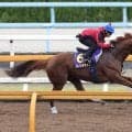 【天皇賞・秋・１週前】Ｇ１・４戦連続３着のダノンデサイルは力強く伸び好時計　戸崎騎手「最後の反応も問題なかった」