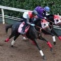 【アルテミスＳ】リスグロワールはリスグラシューとの母子制覇へ軽快な走り　陣営「順調にこれているのが一番」