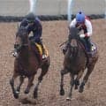【天皇賞・秋・１週前】「思ったイメージと違ったところは…」レガレイラと新コンビの岩田望来騎手が印象明かす