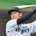 阪神を戦力外となった29歳外野手は「もったいない」球界OBの考察　貴重な右の代打枠　「関東圏に戻って活躍するとか」「使えない選手では全然ないと思う」
