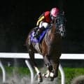 【浦和・埼玉栄冠結果】スレイマンが連覇で重賞3勝目を飾る