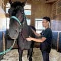 【ロブチェン・関係者インタ】中井健司獣医師が分析する一番の特長は「筋肉の柔らかさ」　「本当に珍しい」のは…