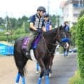 【注目馬動向】２３年の菊花賞馬ドゥレッツァの次走はジャパンＣか香港遠征が候補　キャロットクラブが発表