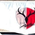 【鹿島】劇的逆転勝利で終えられず悔しいドロー「勝って帰らなければいけなかった」鬼木監督