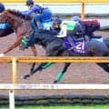 【菊花賞】ロブチェン３冠へ必勝ルーチン！皐月賞、日本ダービーと同じＣＷコースの半マイルから併せ馬