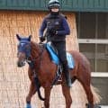 【注目馬動向】富士Ｓ３着エコロアルバはマイルＣＳ視野もダート挑戦の可能性あり　手塚久調教師「すごく走ると思う」