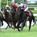 【菊花賞・調教後馬体重】ロブチェンは524kg、ダノンヒストリーは483kg