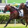 【菊花賞／全頭診断】ロブチェンは雨降り馬場なら“鬼に金棒”　収穫の多いトライアル惜敗馬3頭に穴妙味